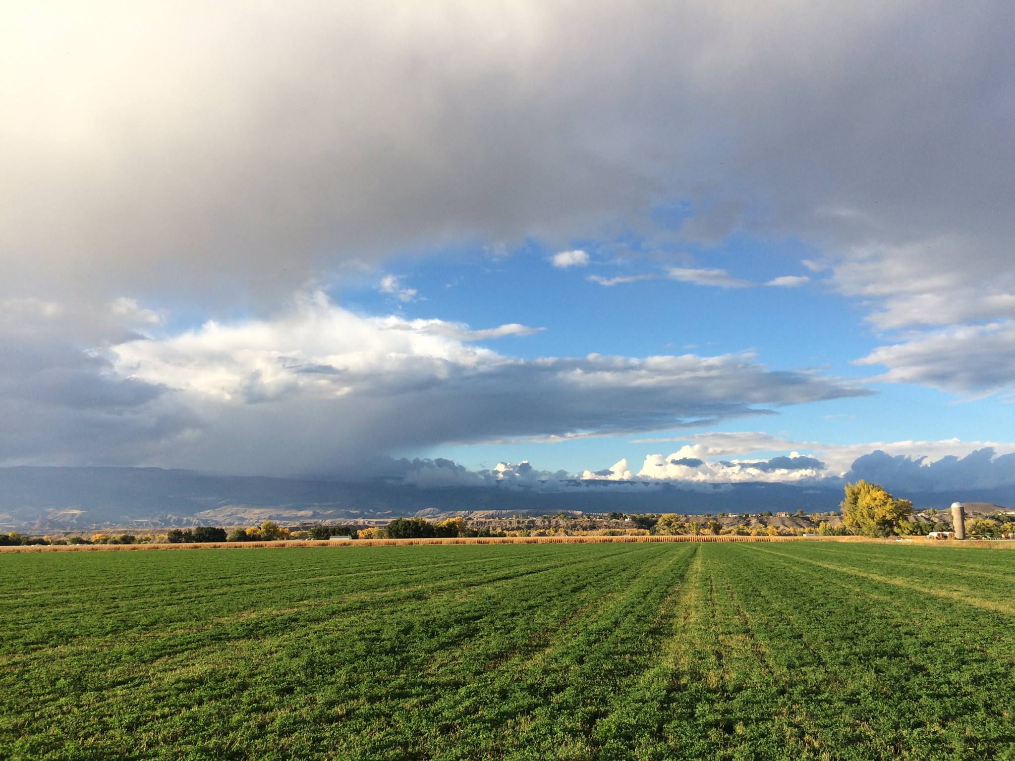 Delta County: Cheapest land in western Colorado
